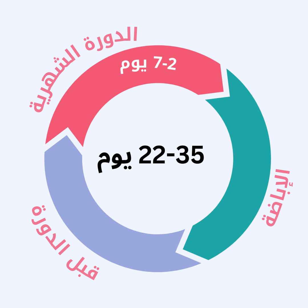 حاسبة الدورة الشهرية